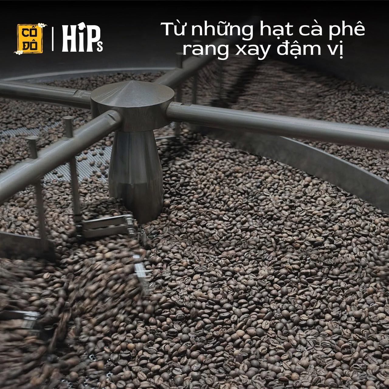 Cà phê muối hòa tan - hộp 6 cốc